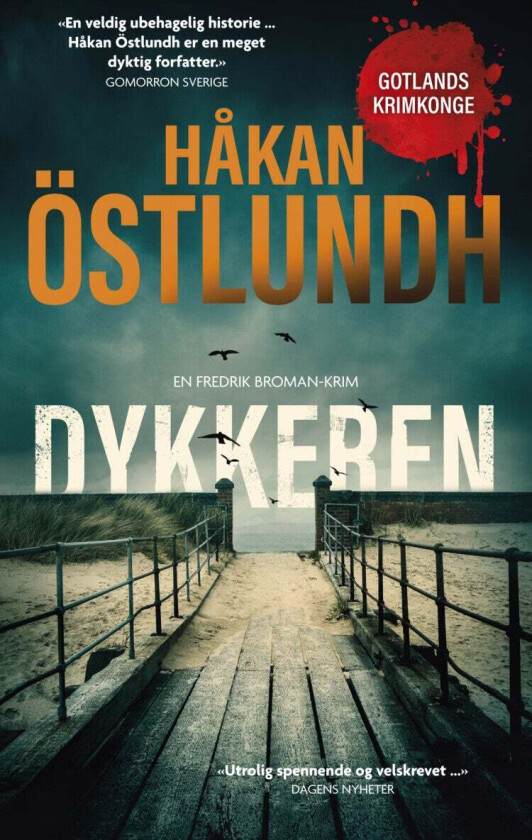 Dykkeren av Håkan Östlundh