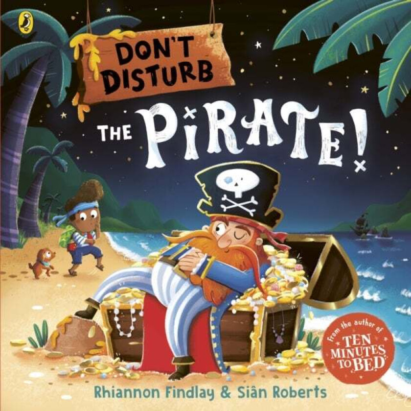 Don¿t Disturb The Pirate av Rhiannon Findlay