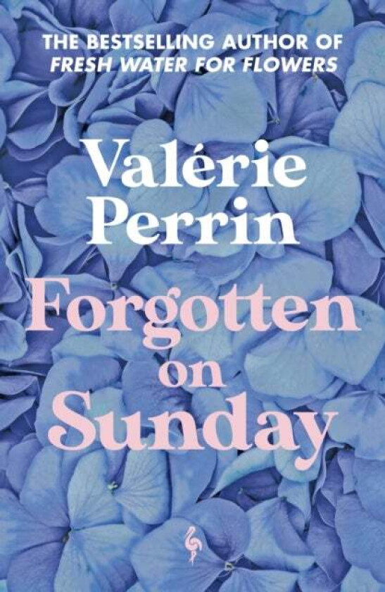 Forgotten on Sunday av Valerie Perrin