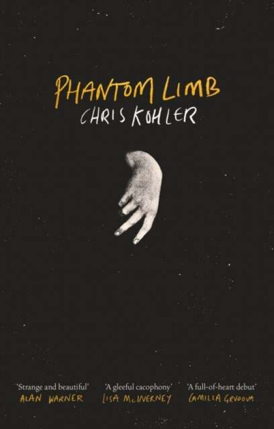 Phantom Limb av Chris Kohler