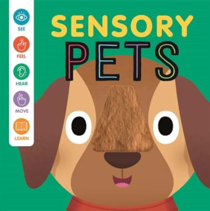 Sensory Pets av Autumn Publishing