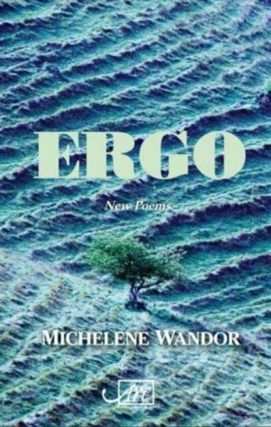 Ergo av Michelene Wandor