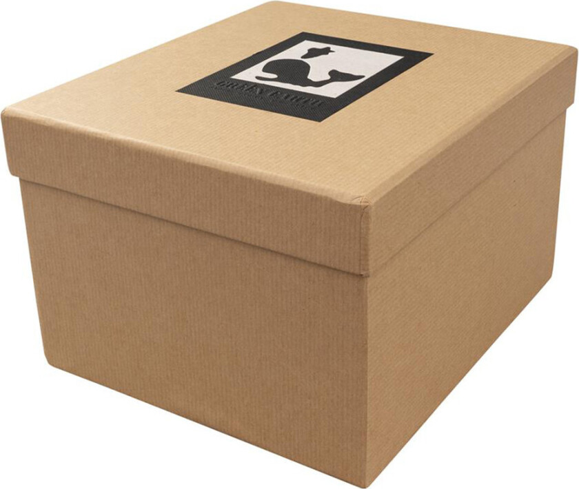 DÃRR Foto- og gaveeske Jord (13x18cm) Hvalsvart