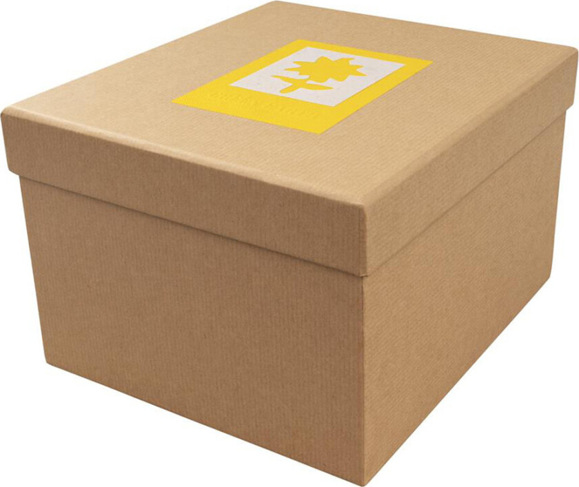 DÃRR Foto- og gaveeske Jord (13x18cm) Blomst Gul