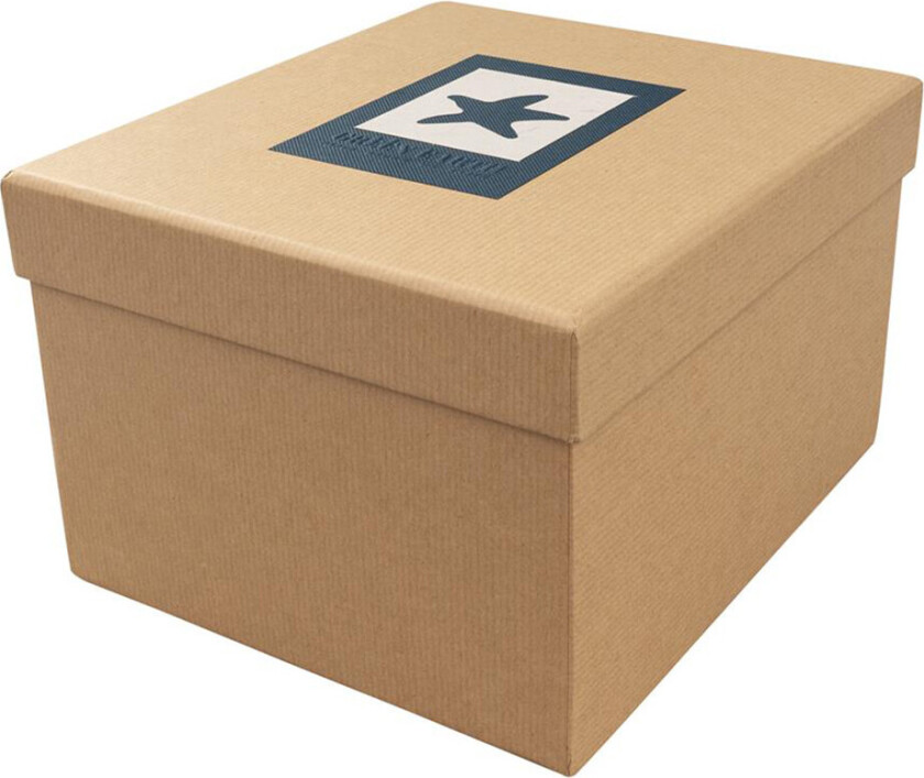 DÃRR Foto- og gaveeske Jord (13x18cm) Starfish Blue