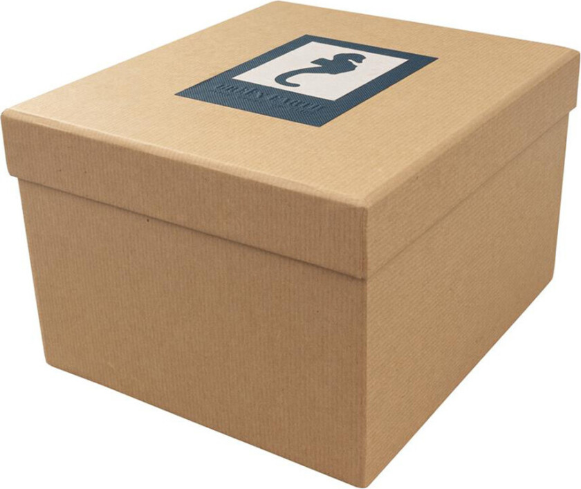 DÃRR Foto- og gaveeske Jord (13x18cm) Seahorse Blue