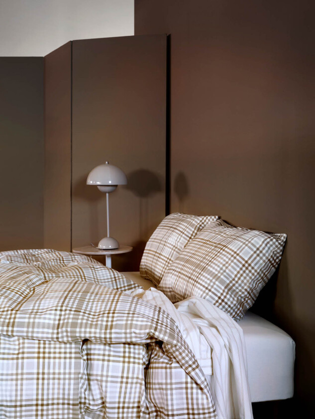 David sengesett dempet brun