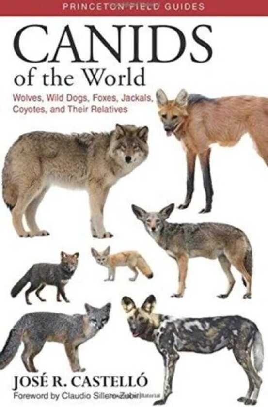 Canids of the World av Dr. Jose R. Castello