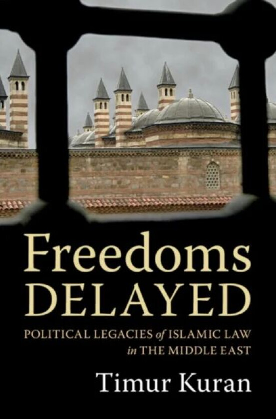 Freedoms Delayed av Timur (Duke University North Carolina) Kuran