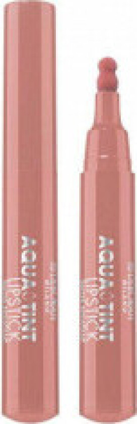 Dh Aqua Tint Lipstick N 04