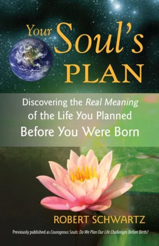 Your Soul's Plan av Robert Schwartz