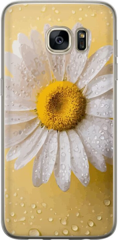 Mobildeksel til Samsung Galaxy S7 edge med Porselensblomst motiv