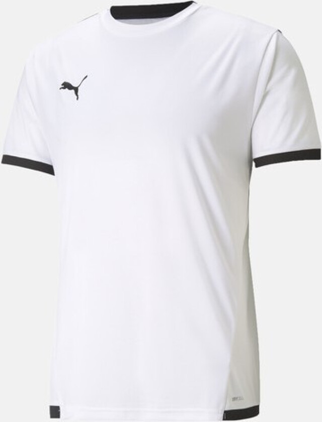 Teamliga Jersey, Puma White-Puma Black, M, Fotball