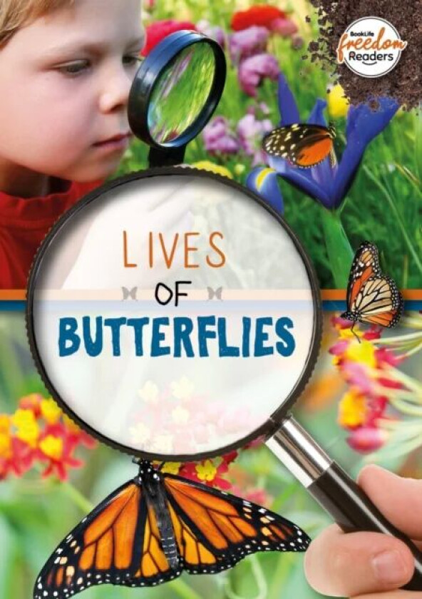 Lives of Butterflies av Holly Duhig