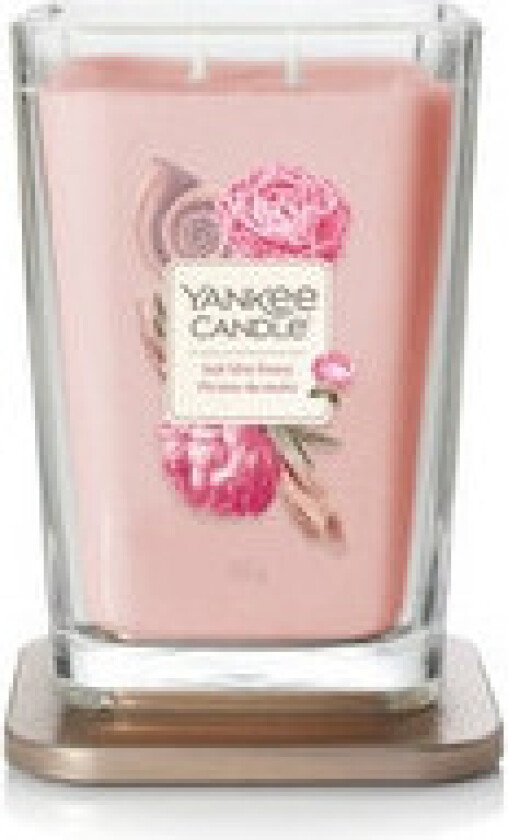 - Elevation Salt Mist Peony Candle - A scented candle 96.0g