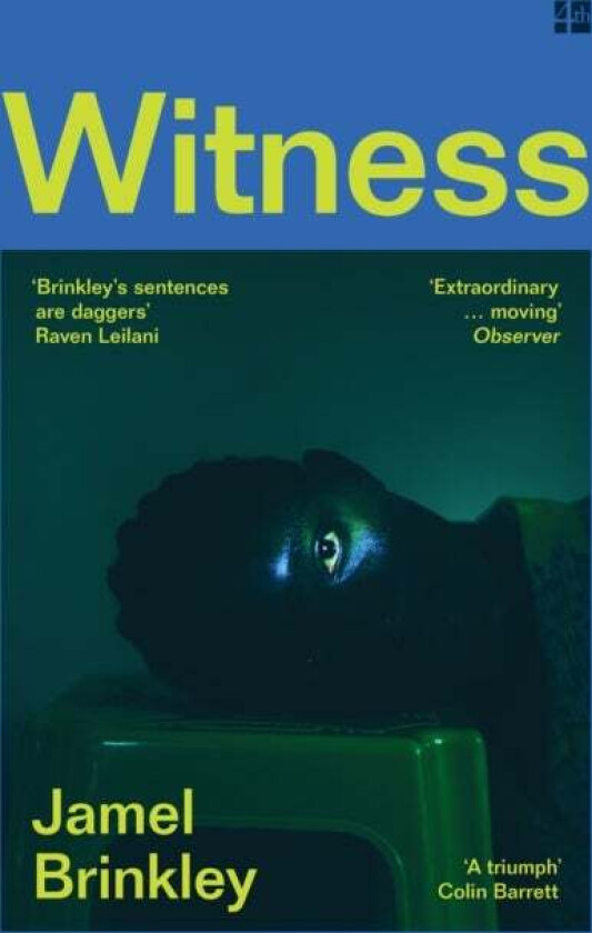 Witness av Jamel Brinkley