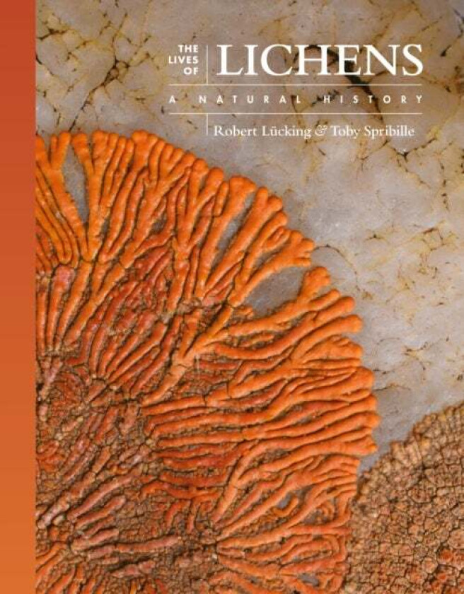 The Lives of Lichens av Robert (Curator) Lucking, Toby (Assistant Professor Spribille, Canada Research Chair)