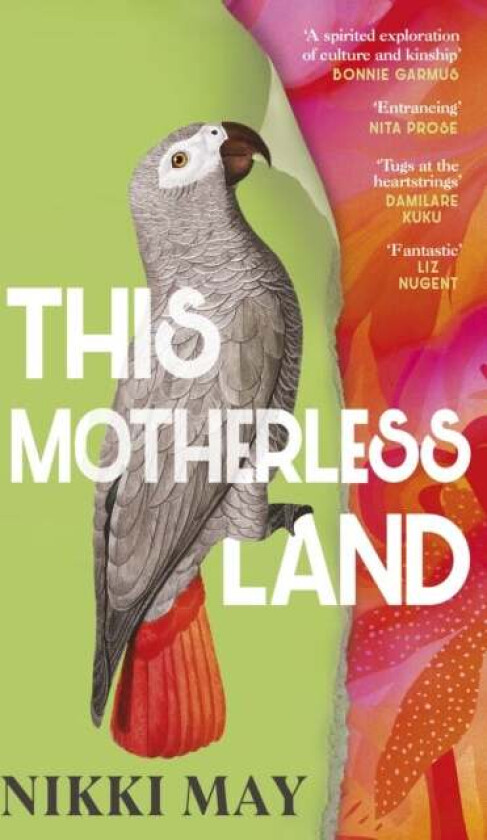 This Motherless Land av Nikki May