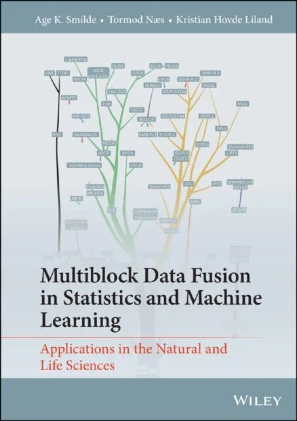 Multiblock Data Fusion in Statistics and Machine Learning av Age K. (University of Amsterdam The Netherlands) Smilde, Tormod Naes, Kristian Hovde Lila