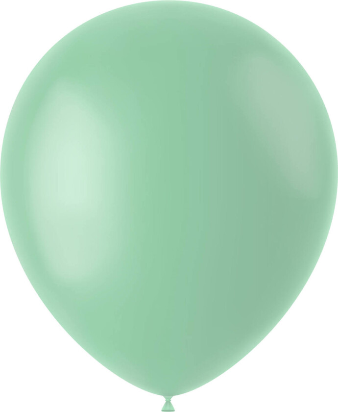 Ballonger 50 stk.