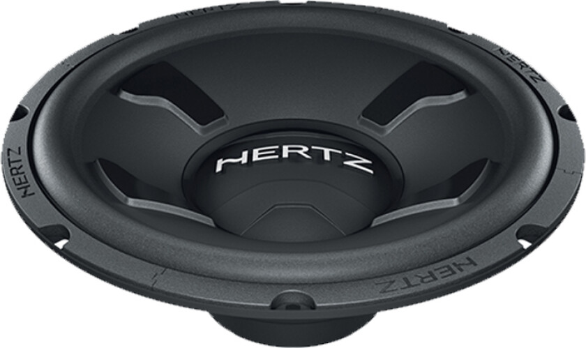 HERTZ DS 25 subwoofer