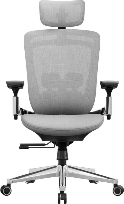 Ergonomisk kontorstol Justerbar rygg tilbakelent foran rygg Justerbart sete Aluminiumslegering Last opp til 150 kg Dove Grey OBN