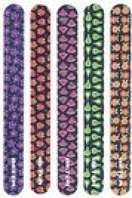 - Fibreglass Nail File 180/220 Grit 1 pc