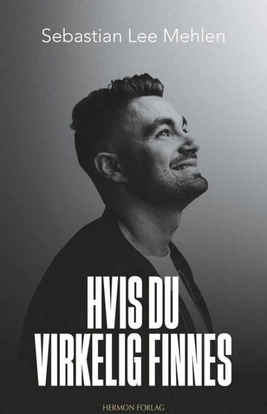Hvis du virkelig finnes av Sebastian Lee Mehlen