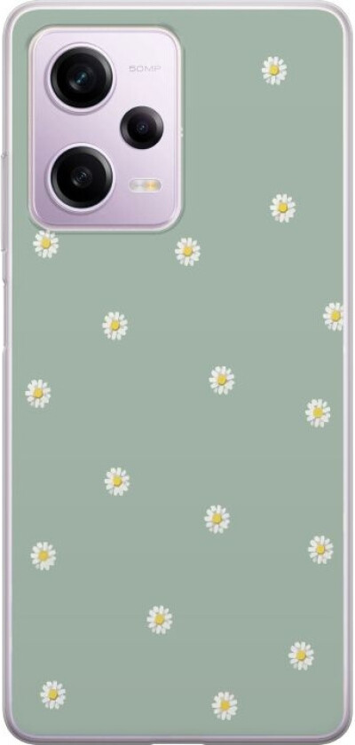 Mobildeksel til Xiaomi Redmi Note 12 Pro med Prestekrage motiv