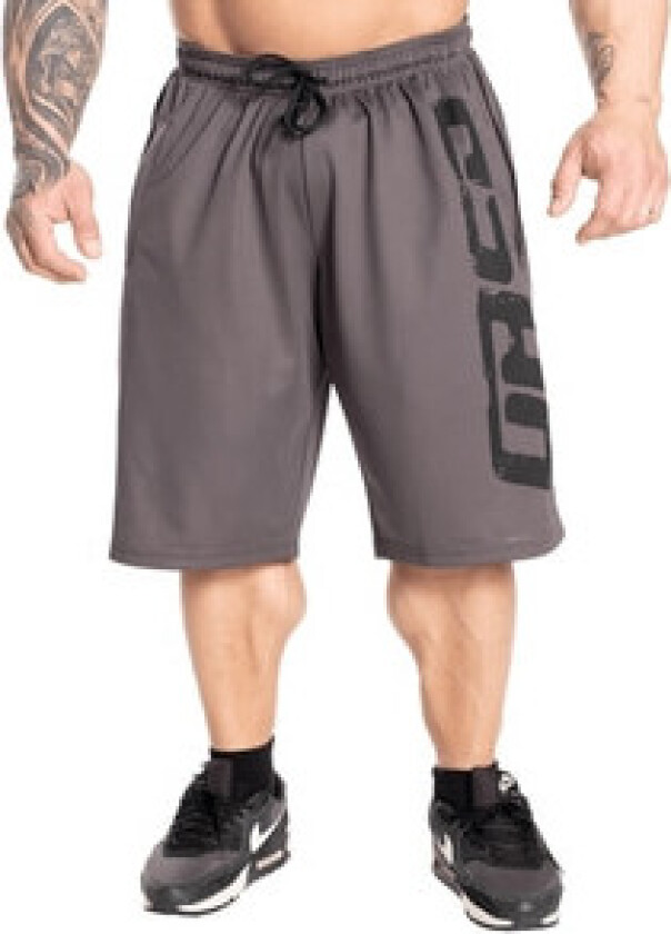 Pro Mesh Shorts, grey, xxlarge