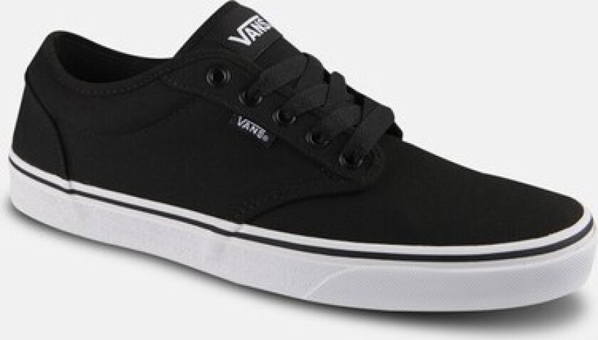 MN Atwood,