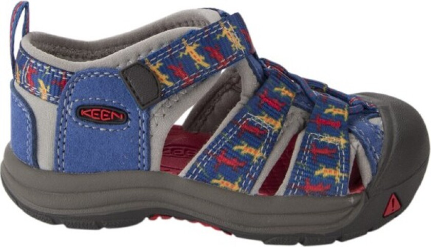 Newport H2, Trueblue Lizard, 19