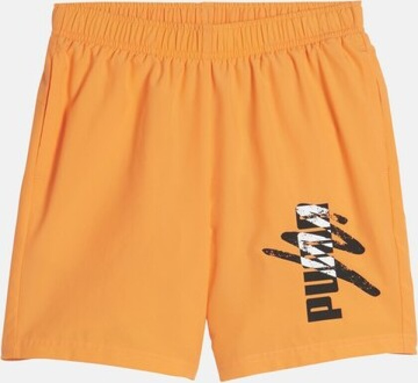 Ess+ Logo Lab Woven Shorts 5, Clementine, 176, Shorts