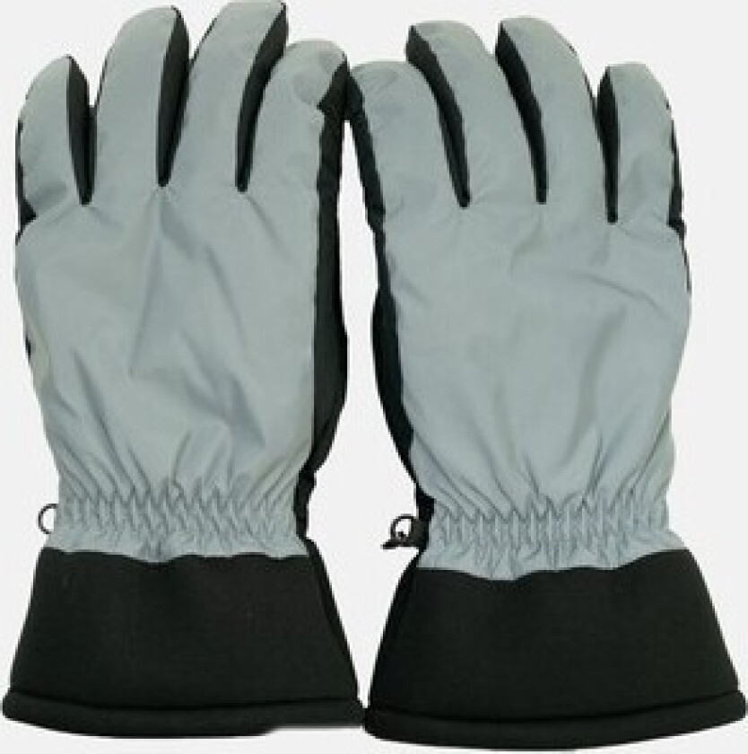 Lenny Gloves, Reflective Silver, 10,  Skihansker