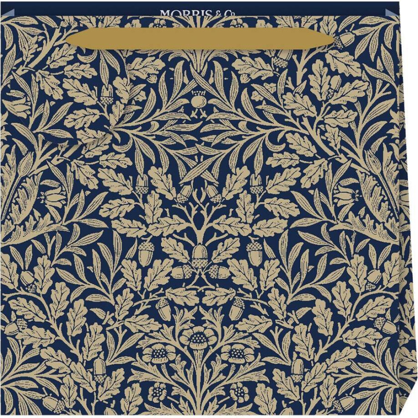 Gavepose Acorn Blue M