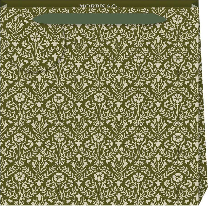 Gavepose Bellflower Olive M