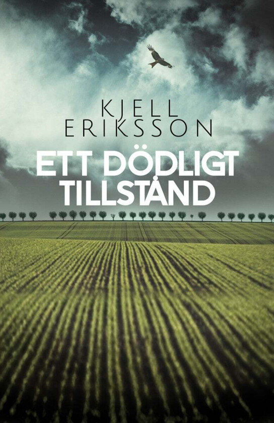 Ett dödligt tillstånd av Kjell Eriksson
