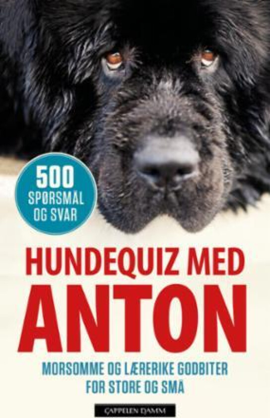 Hundequiz med Anton av Rannveig Revhaug, Monica Sagen