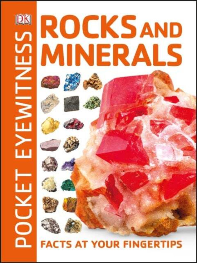 Pocket Eyewitness Rocks and Minerals av DK