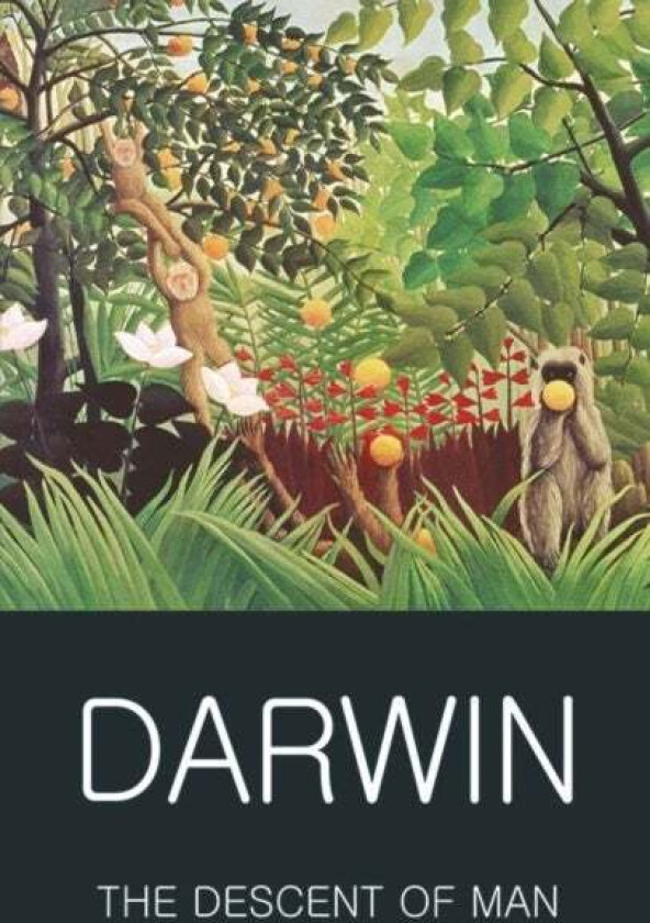 The Descent of Man av Charles Darwin