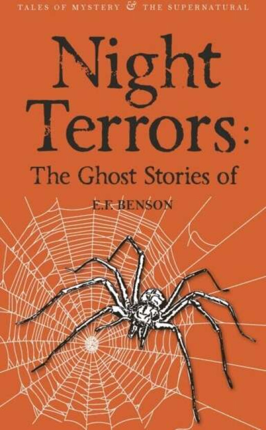 Night Terrors: The Ghost Stories of E.F. Benson av E.F. Benson