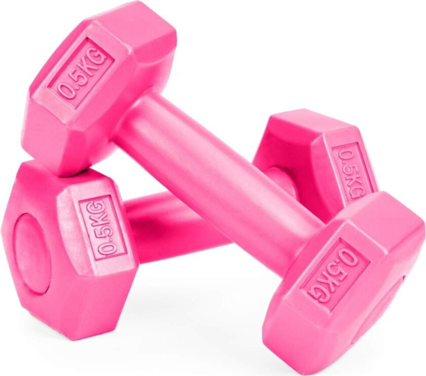 Bilde av Hantler sett med 2 for hjemmetrening 2x0,5 kg