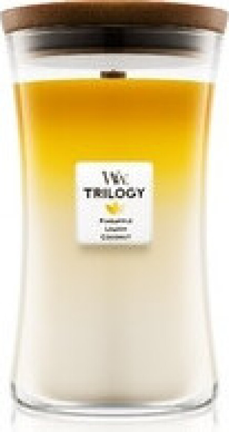 - Fruits from Summer Trilogy Vase - Summer scented candle 275.0g