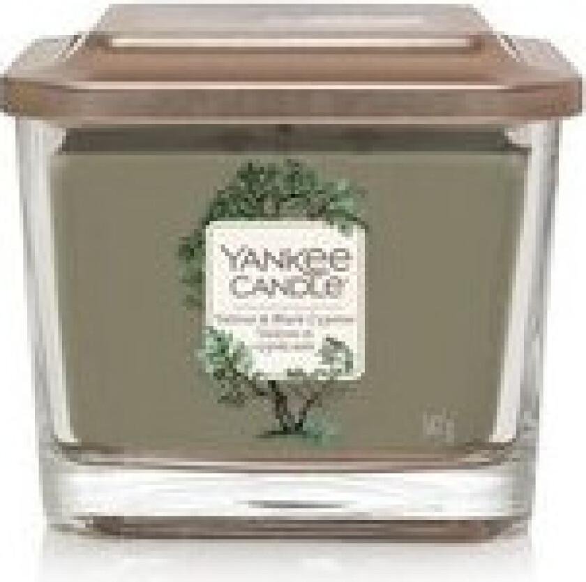 - Elevation Vetiver & Black Cypress Candle - Scented candle 96.0g