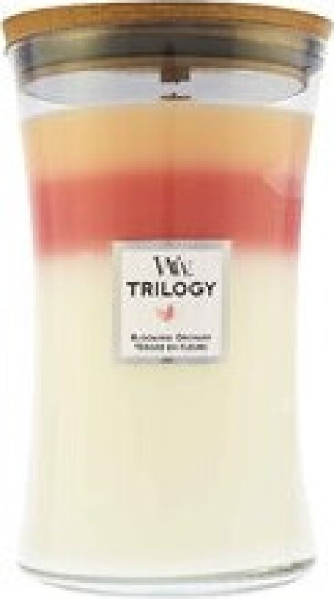 - Blooming Orchard Trilogy Vase