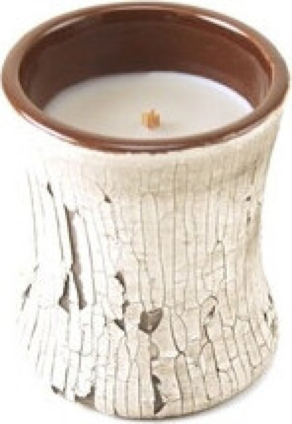 - Fireside Ceramic Vase