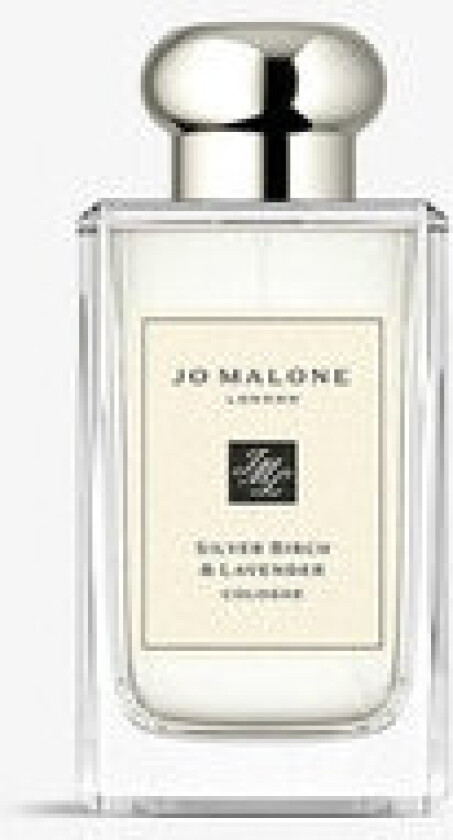 - Lavenderland Collection Silver Birch & Lavender EDC 100ml
