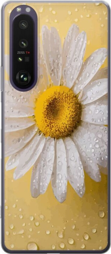 Mobildeksel til Sony Xperia 1 III med Porselensblomst motiv