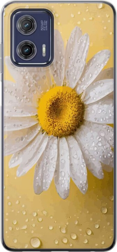 Mobildeksel til Motorola Moto G73 med Porselensblomst motiv