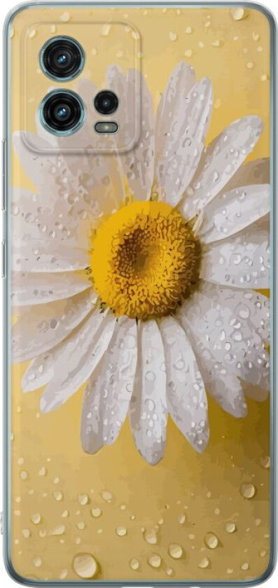 Mobildeksel til Motorola Moto G72 med Porselensblomst motiv